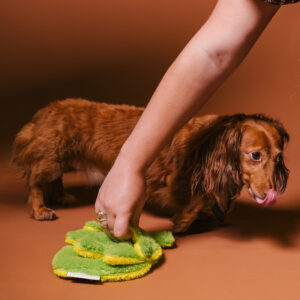 Hop Dog Toy